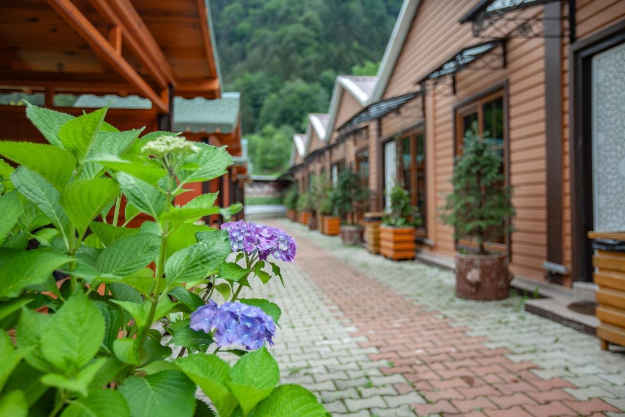 Vilă Cakiroglu Kent Uzungöl